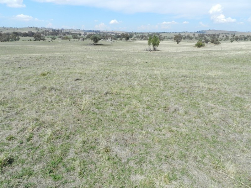 Lot 103 Off Boorowa Road, Crookwell NSW 2583