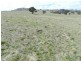 Lot 103 Off Boorowa Road, Crookwell NSW 2583