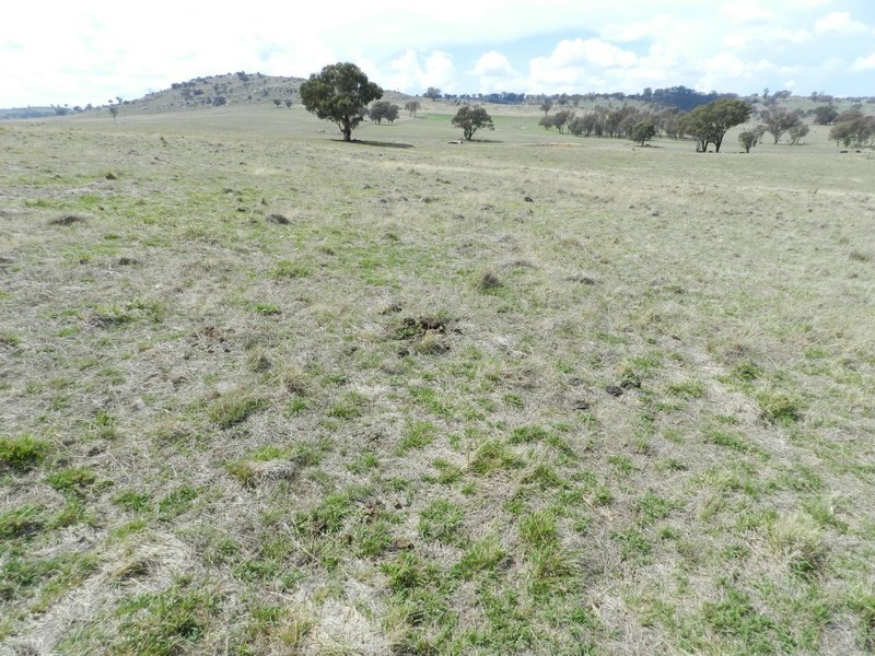Lot 103 Off Boorowa Road, Crookwell NSW 2583