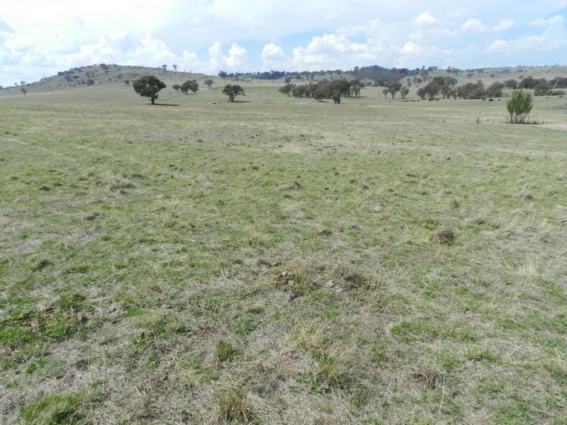 Lot 103 Off Boorowa Road, Crookwell NSW 2583