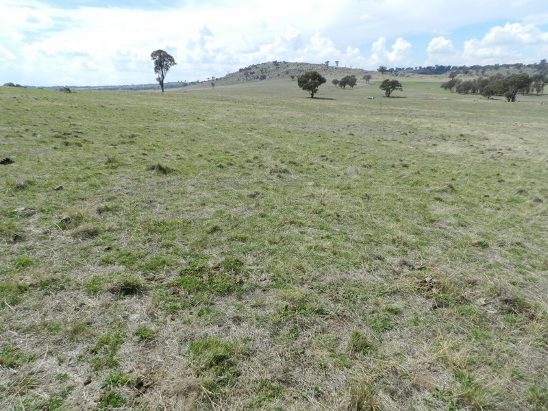 Lot 103 Off Boorowa Road, Crookwell NSW 2583