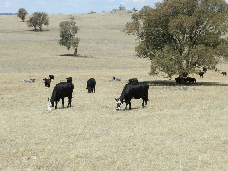 Lot 106 Off Boorowa Road, Crookwell NSW 2583