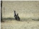 Lot 106 Off Boorowa Road, Crookwell NSW 2583