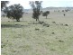 Lot 106 Off Boorowa Road, Crookwell NSW 2583