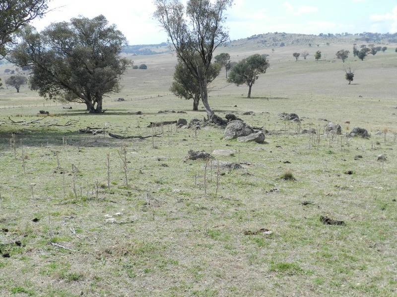 Lot 106 Off Boorowa Road, Crookwell NSW 2583