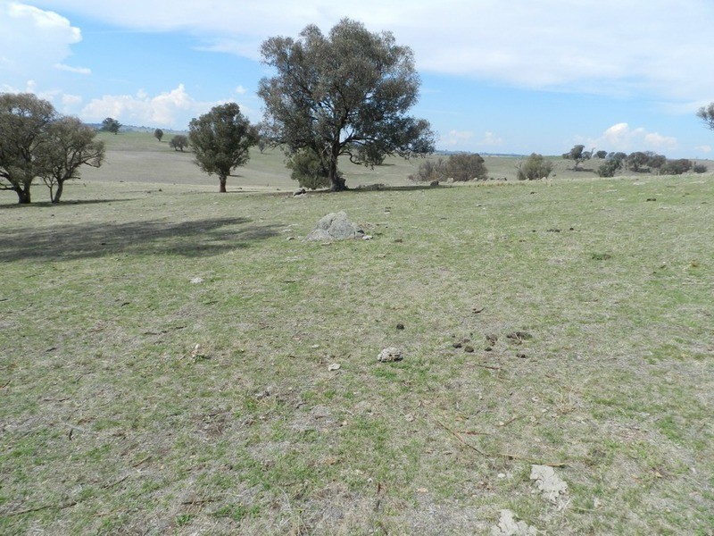 Lot 106 Off Boorowa Road, Crookwell NSW 2583