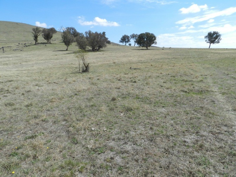 Lot 106 Off Boorowa Road, Crookwell NSW 2583
