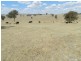 Lot 106 Off Boorowa Road, Crookwell NSW 2583