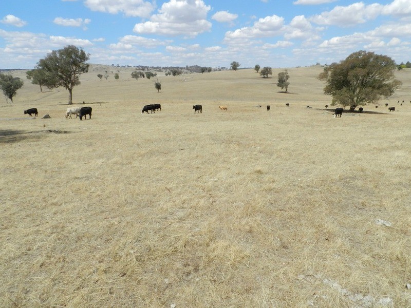 Lot 106 Off Boorowa Road, Crookwell NSW 2583