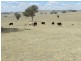 Lot 106 Off Boorowa Road, Crookwell NSW 2583