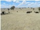Lot 106 Off Boorowa Road, Crookwell NSW 2583