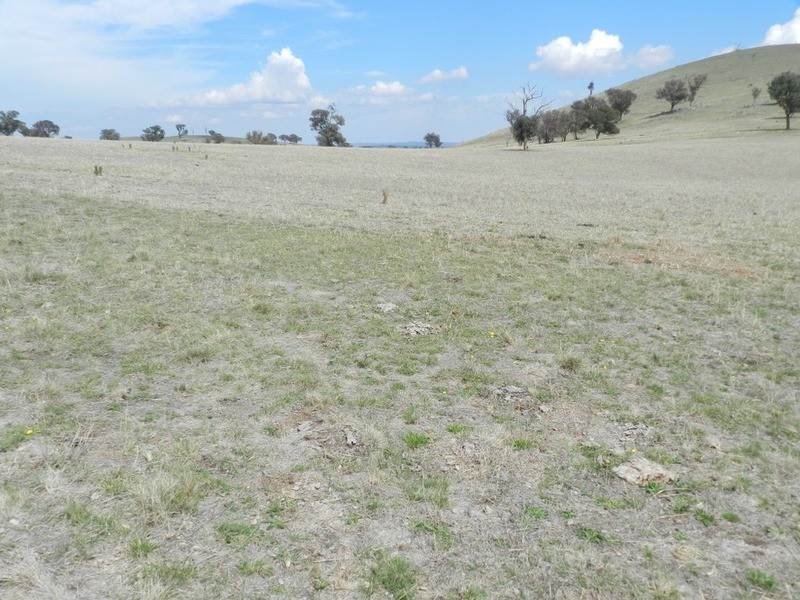 Lot 106 Off Boorowa Road, Crookwell NSW 2583
