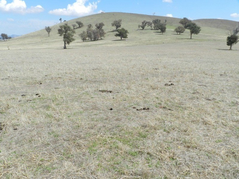 Lot 106 Off Boorowa Road, Crookwell NSW 2583