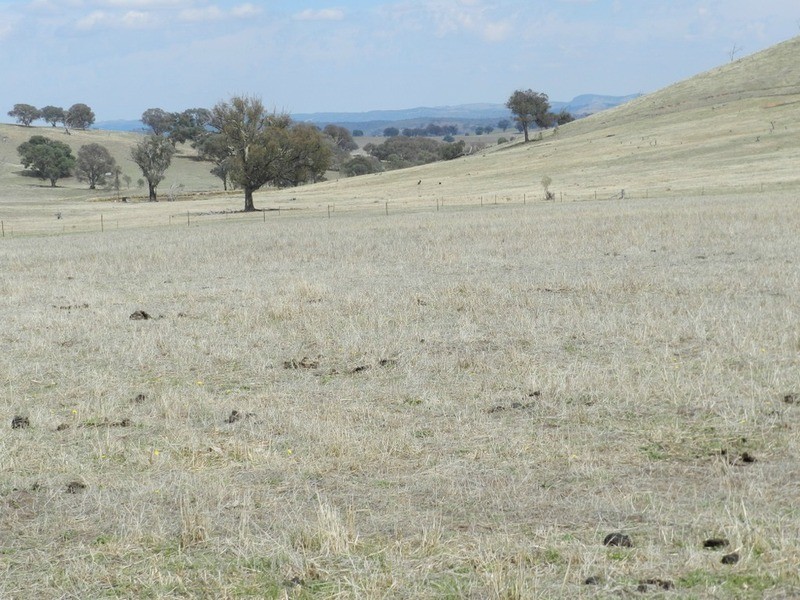 Lot 106 Off Boorowa Road, Crookwell NSW 2583