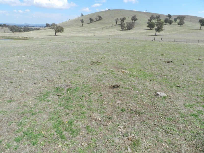 Lot 106 Off Boorowa Road, Crookwell NSW 2583