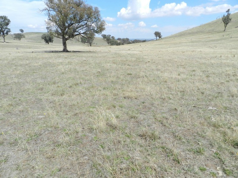 Lot 106 Off Boorowa Road, Crookwell NSW 2583