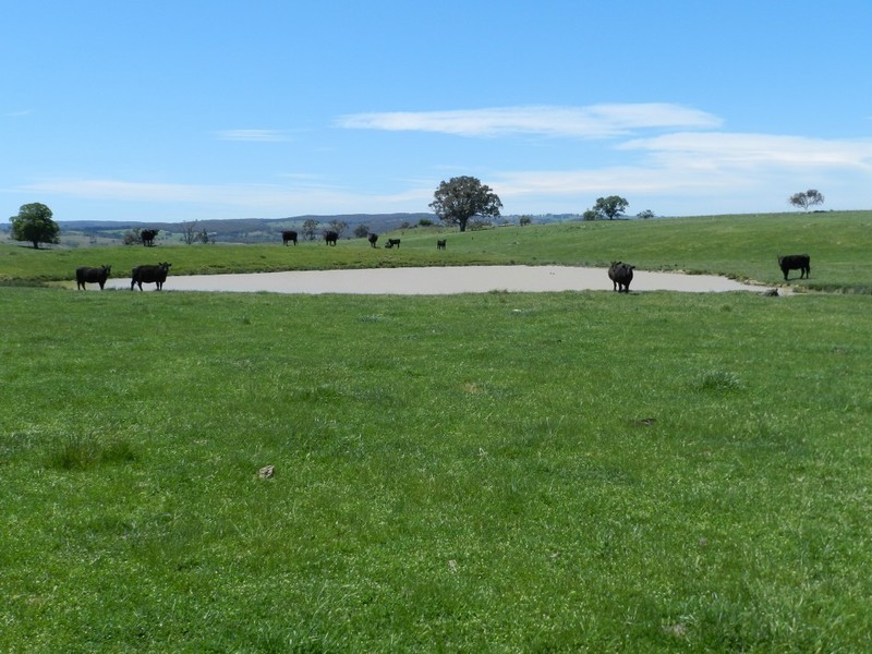320 Boobalaga Road, Crookwell NSW 2583