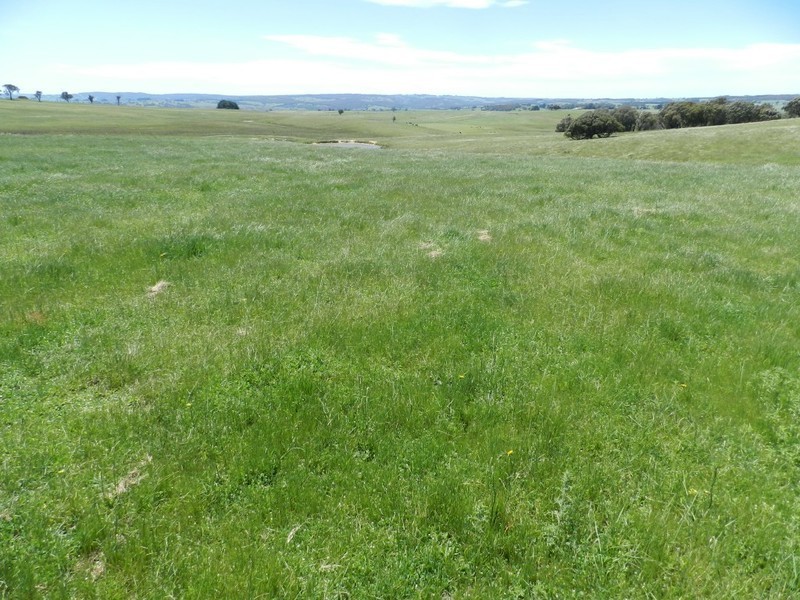 320 Boobalaga Road, Crookwell NSW 2583