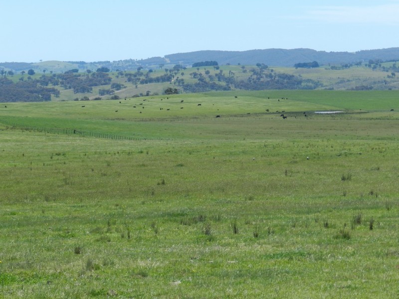 320 Boobalaga Road, Crookwell NSW 2583