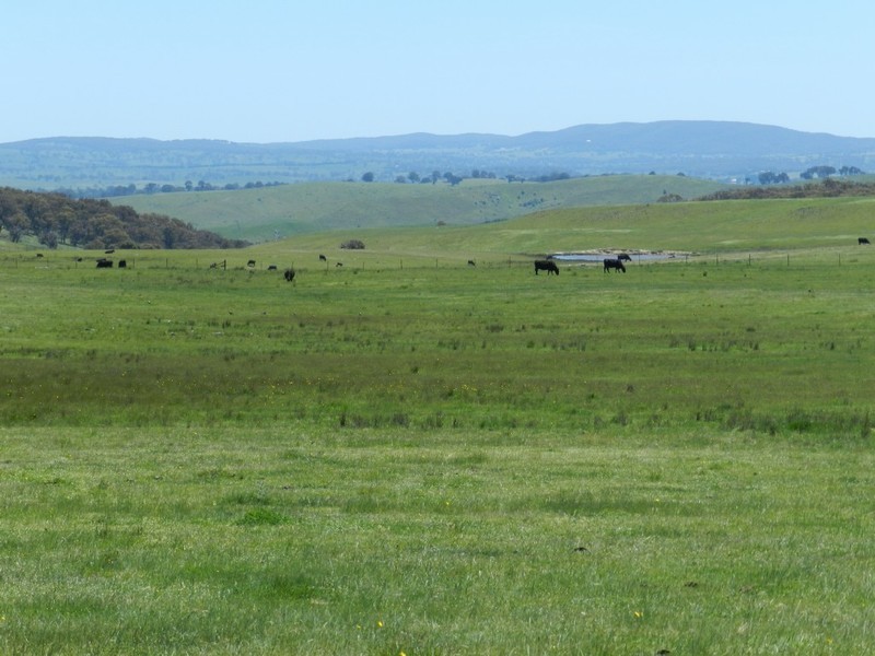 320 Boobalaga Road, Crookwell NSW 2583