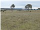 215 Bundong Lane, Lake Bathurst NSW 2580