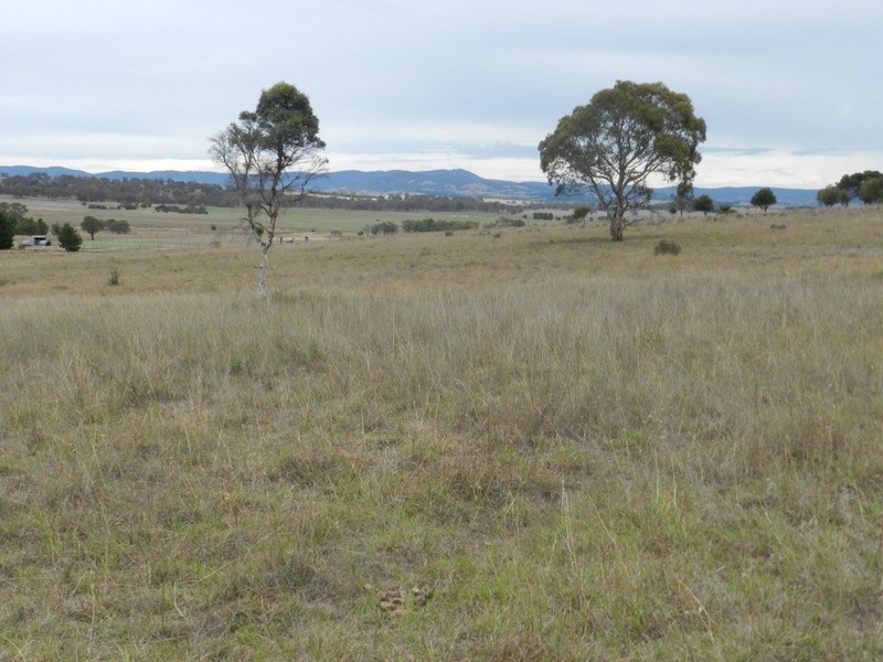 215 Bundong Lane, Lake Bathurst NSW 2580