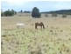215 Bundong Lane, Lake Bathurst NSW 2580