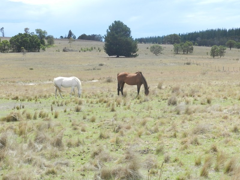 215 Bundong Lane, Lake Bathurst NSW 2580