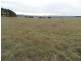 215 Bundong Lane, Lake Bathurst NSW 2580