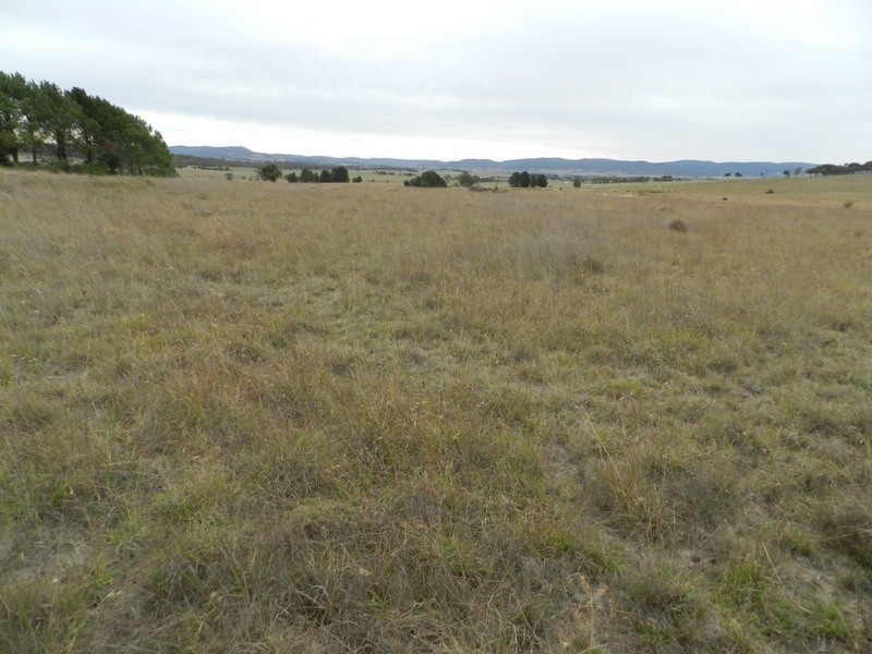 215 Bundong Lane, Lake Bathurst NSW 2580