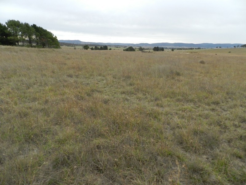 215 Bundong Lane, Lake Bathurst NSW 2580