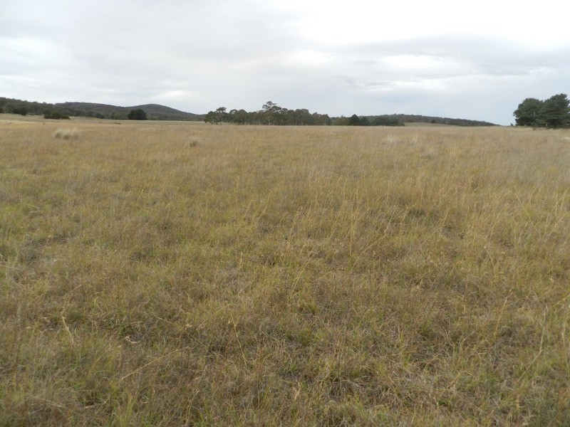 215 Bundong Lane, Lake Bathurst NSW 2580