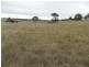 215 Bundong Lane, Lake Bathurst NSW 2580