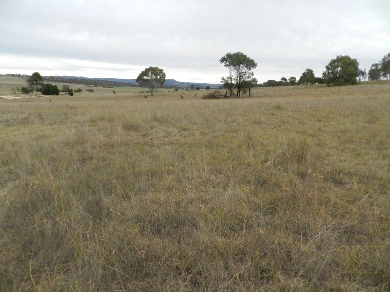 215 Bundong Lane, Lake Bathurst NSW 2580