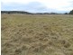 215 Bundong Lane, Lake Bathurst NSW 2580