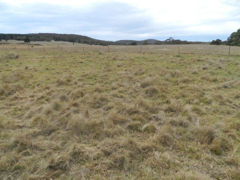 215 Bundong Lane, Lake Bathurst NSW 2580