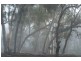 238 Wolgon Road, Windellama NSW 2580