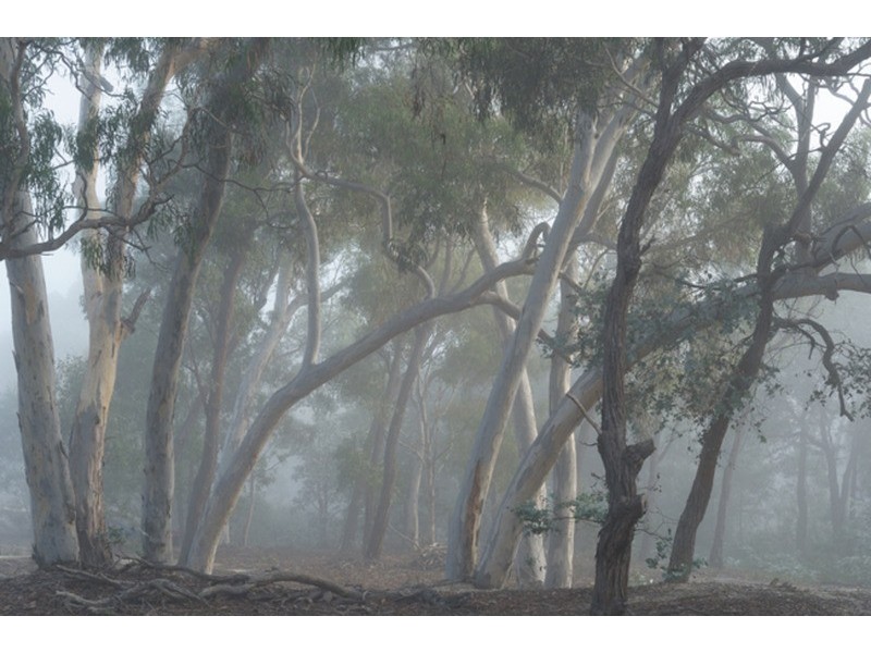 238 Wolgon Road, Windellama NSW 2580
