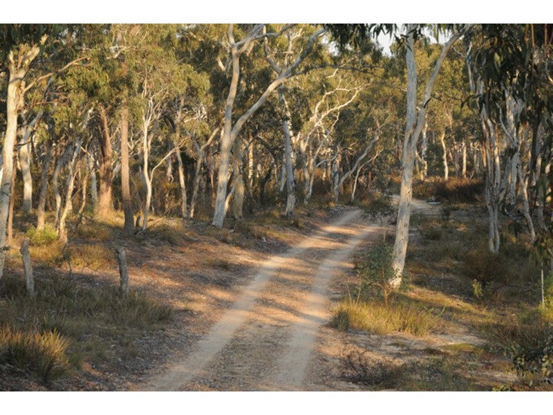 238 Wolgon Road, Windellama NSW 2580