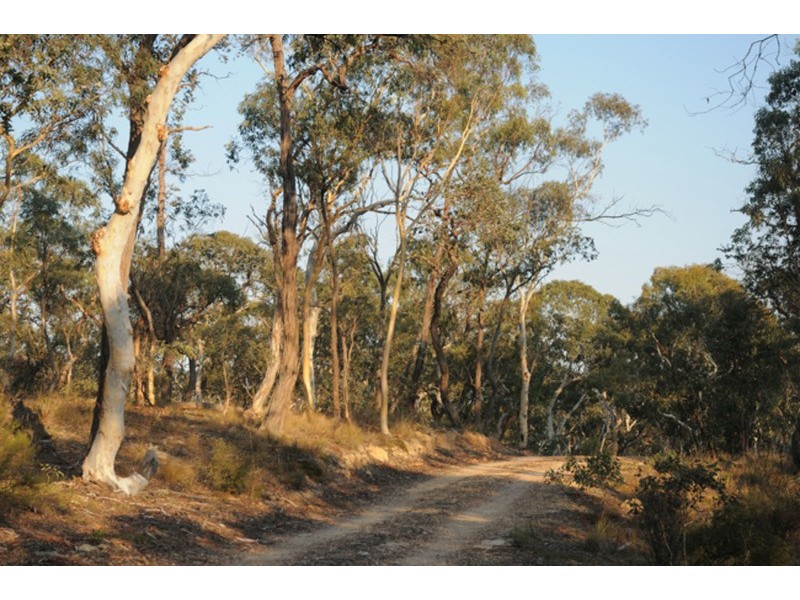 238 Wolgon Road, Windellama NSW 2580