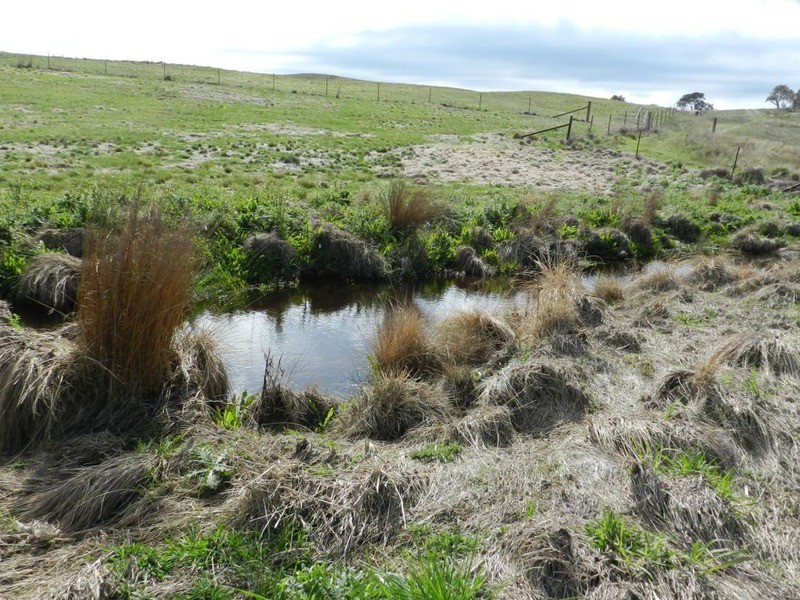 Lot 2 Off Woodhouselee Road, Goulburn NSW 2580