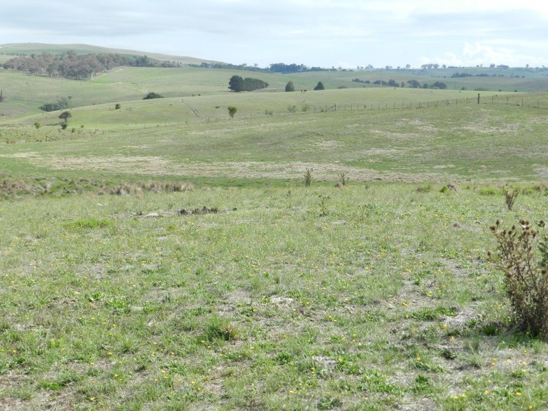 Lot 2 Off Woodhouselee Road, Goulburn NSW 2580