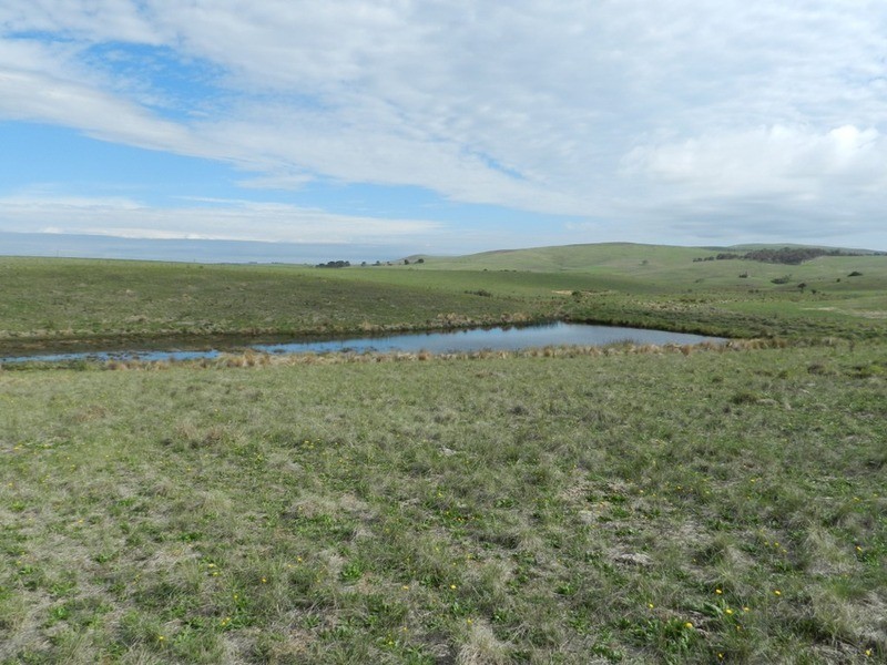 Lot 2 Off Woodhouselee Road, Goulburn NSW 2580