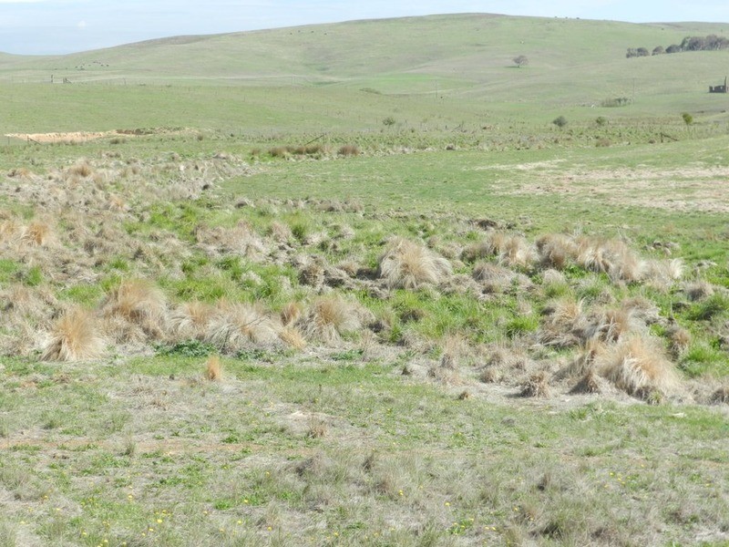 Lot 2 Off Woodhouselee Road, Goulburn NSW 2580