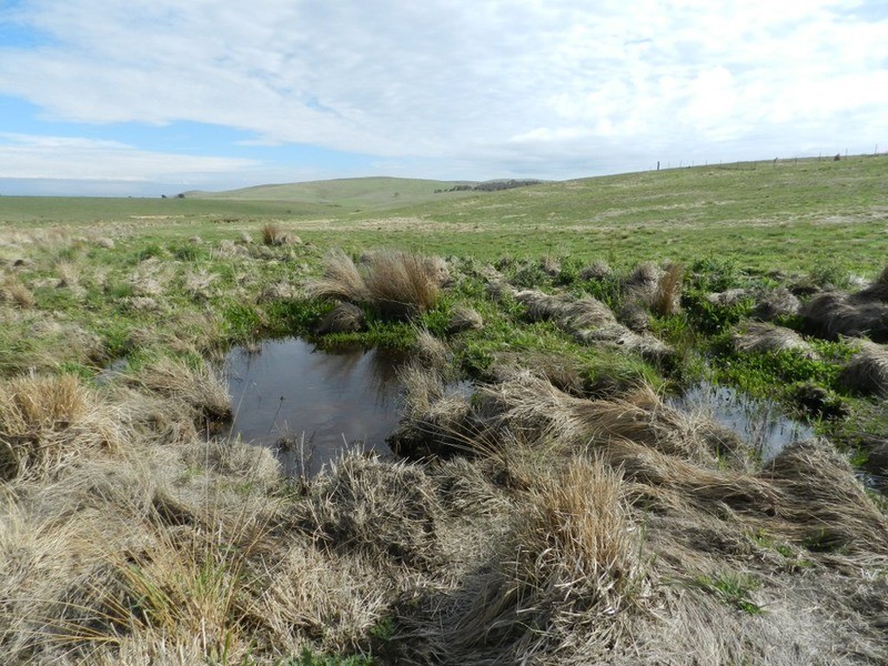 Lot 2 Off Woodhouselee Road, Goulburn NSW 2580