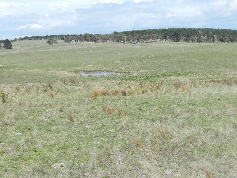 Lot 2 Off Woodhouselee Road, Goulburn NSW 2580