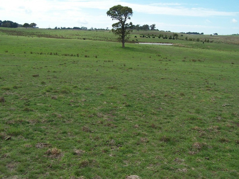 Peppermint Farm Bannister  Lane, Gurrundah NSW 2581