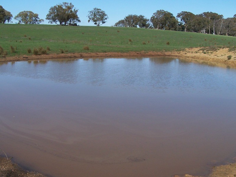 Peppermint Farm Bannister  Lane, Gurrundah NSW 2581