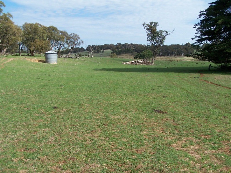 Peppermint Farm Bannister  Lane, Gurrundah NSW 2581