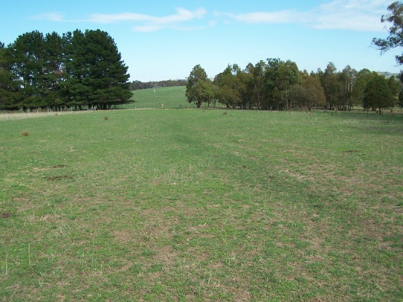 Peppermint Farm Bannister  Lane, Gurrundah NSW 2581